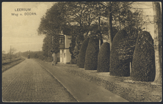 17424 Gezicht op de Rijksstraatweg tussen Leersum en Doorn.